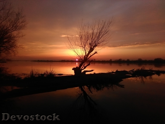 Devostock River Tree Sunset Water