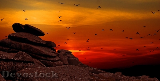 Devostock Rock Outcrop Rocks Rocky 0
