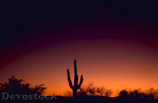 Devostock Sabino Canyon Arizona Sunset