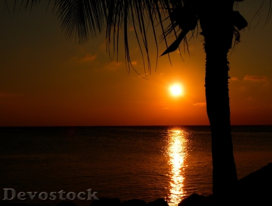 Devostock Sea Dawn Sunset Holiday