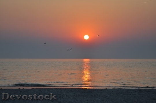 Devostock Sea Lake Sunset Beach