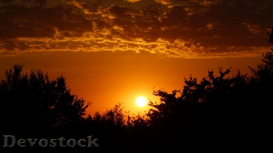 Devostock Silhouette Sunset Nature Sun