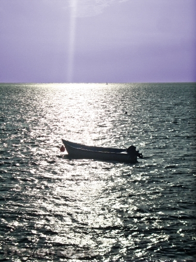 Devostock Solo Boat Bay Sea
