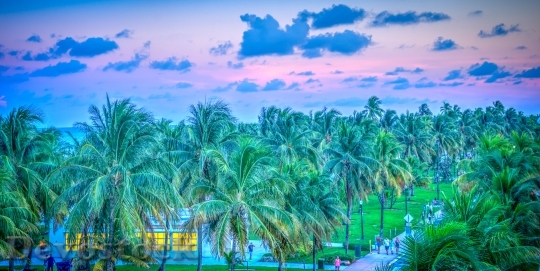 Devostock South Beach Miami Florida