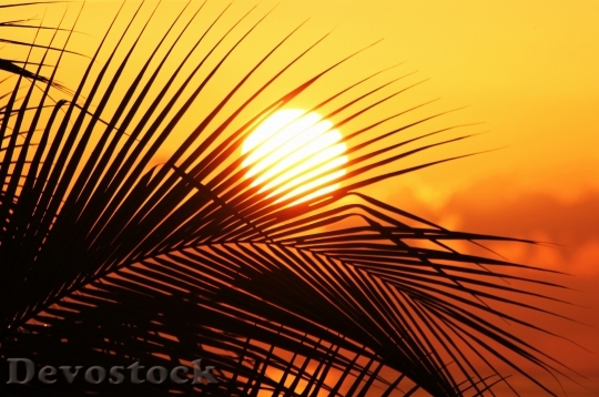 Devostock Sun Jamaica Sun Sunset