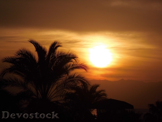 Devostock Sun Sunset Palm Trees 1