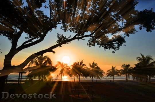 Devostock Sunrise Ray Beach Landscape