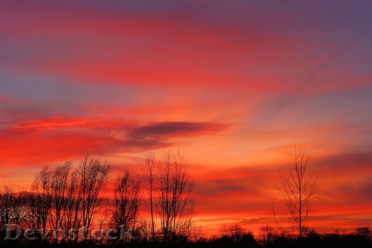 Devostock Sunset Background Colorful Sky