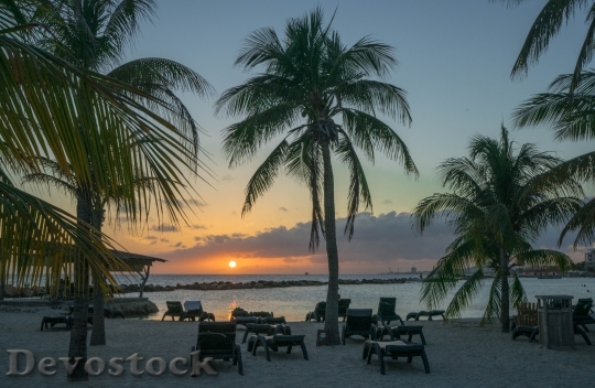 Devostock Sunset Caribbean Palm Trees 2