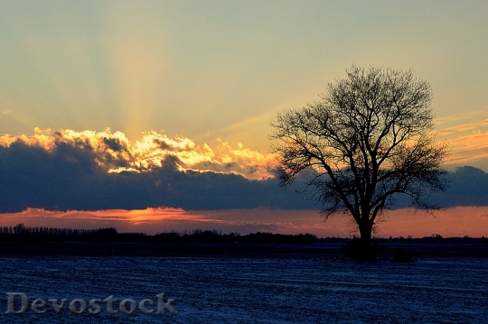 Devostock Sunset Clouds Evening Landscape