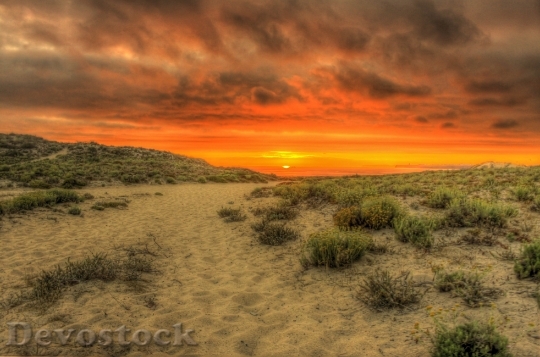 Devostock Sunset Desert Sand Sky