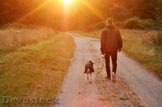 Devostock Sunset Dog Owner Man