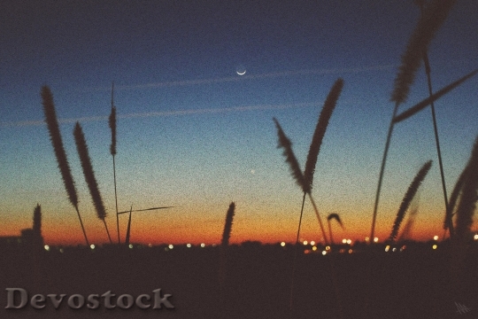 Devostock Sunset Dusk Moon Sky