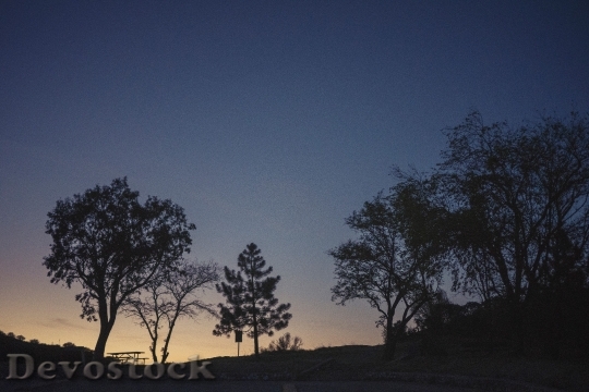 Devostock Sunset Dusk Silhouette Trees