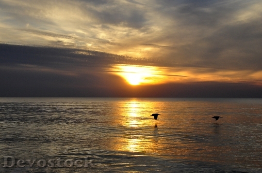 Devostock Sunset Florida Gold Sea