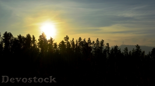 Devostock Sunset Forest Nature Landscape