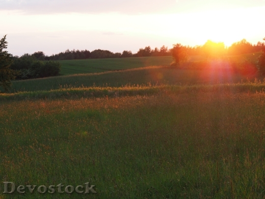 Devostock Sunset Grass Landscape Evening