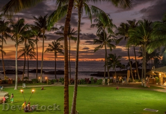 Devostock Sunset Hawaii Colorful Tropical