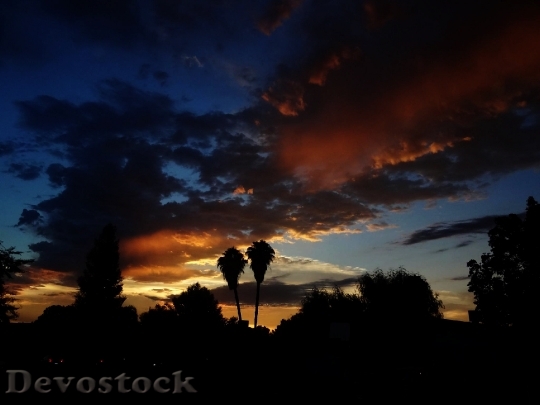 Devostock Sunset Horizon Clouds Palm