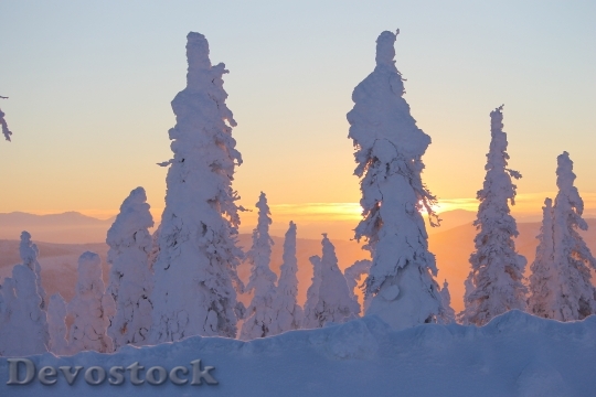 Devostock Sunset Ice Alaska Trees