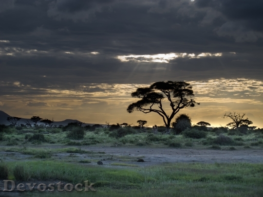 Devostock Sunset Landscape Africa Afterglow