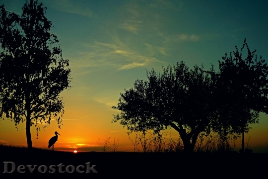 Devostock Sunset Landscape Evening Sky 3