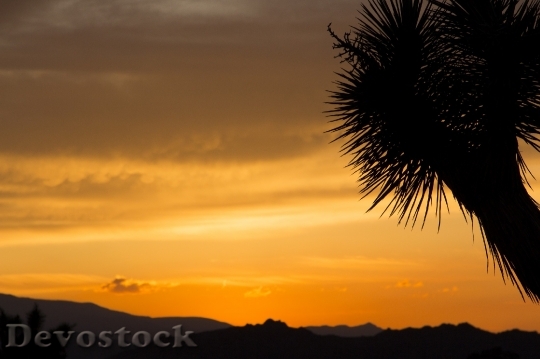 Devostock Sunset Landscape Mountains Plant