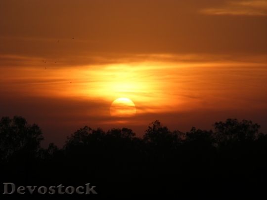 Devostock Sunset Landscapes Golden Sunset