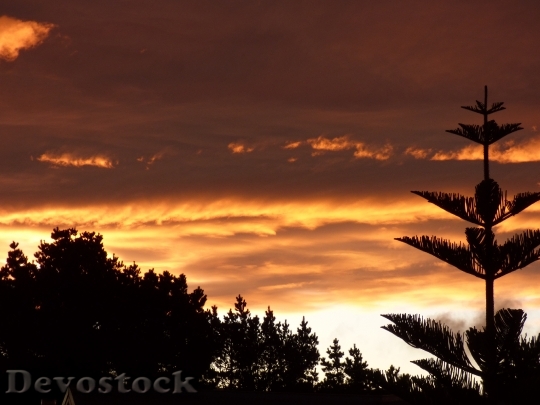 Devostock Sunset Nature Silhouette 1152636