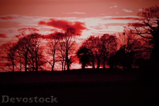 Devostock Sunset Red Sky Nature