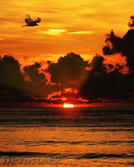 Devostock Sunset Sea Clouds Ocean 1