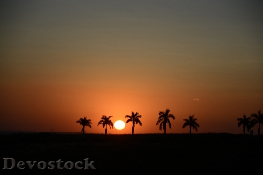 Devostock Sunset Silhouette Horizon Sol 1