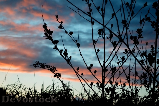 Devostock Sunset Sky Cloud Landscape