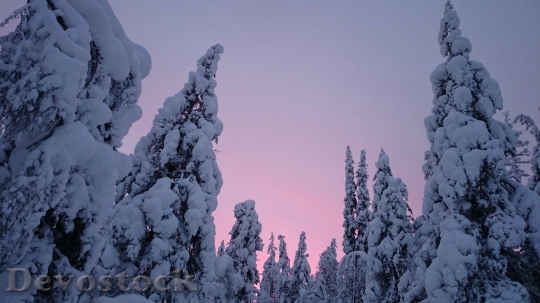 Devostock Sunset Snow Winter Lapland