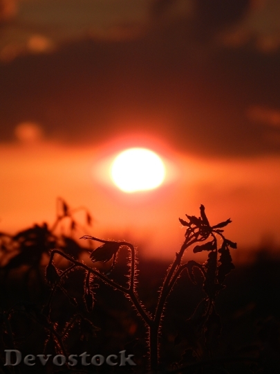 Devostock Sunset Sun Nature 1627071