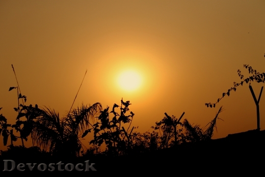 Devostock Sunset Sunrise Sun Morning
