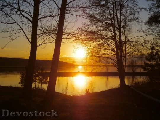 Devostock Sunset Sunrise Trees Lake