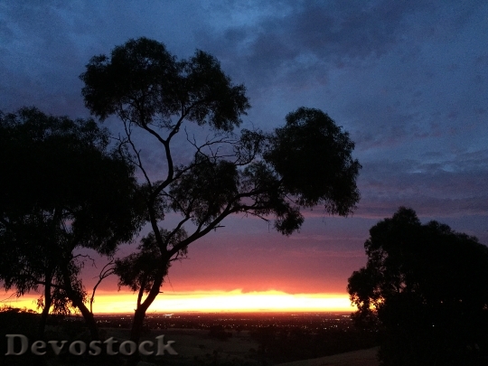 Devostock Sunset Tree Horizon Scenery
