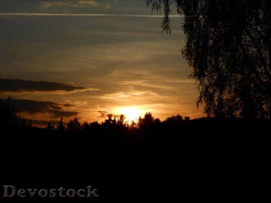 Devostock Sunset Tree Horizon Sky