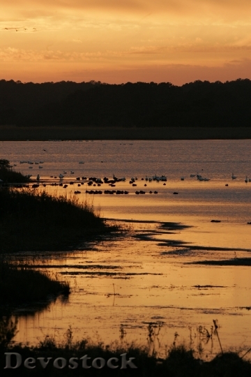 Devostock Sunset Wetlands Landscape Nature