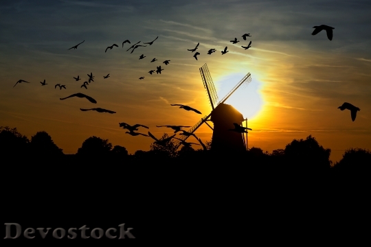 Devostock Sunset Windmill Geese Nature