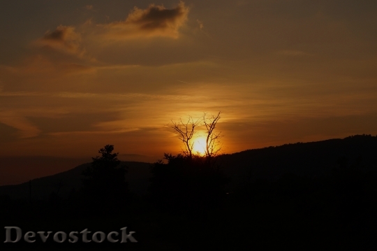 Devostock Sunset Wood Light Sky