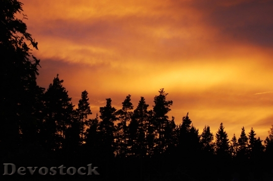Devostock Swedish Nature Sunset Sweden