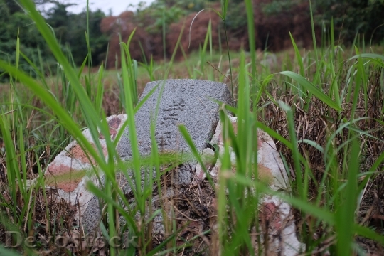 Devostock Tombs At Bukit Brown