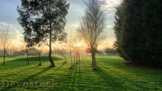 Devostock Trees Landscape Sunshine Sunset
