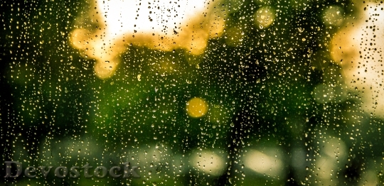 Devostock Water Rain Raindrops Drops