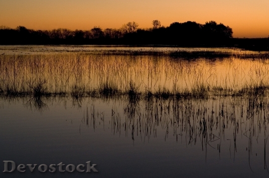 Devostock Wetlands Sunset Landscape Nature