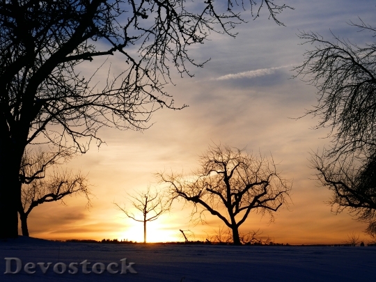 Devostock Winter Mood Tree Sunset