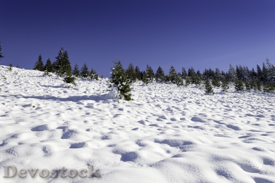 Devostock Winter Scene Mountain Wonderland