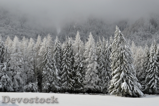 Devostock Winter Scene Mountain Wonderland 5
